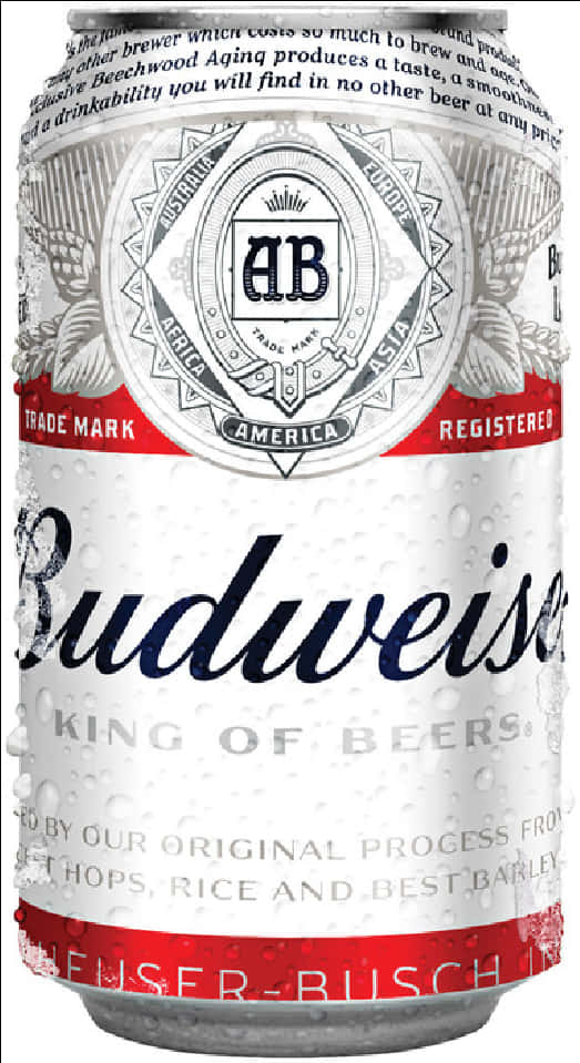 Budweiser Beer Can Closeup