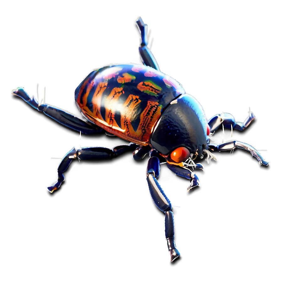 Bug In Web Png Pdw38