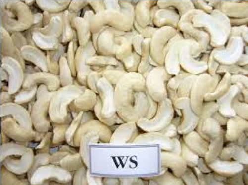 Bulk Cashew Nuts Texture