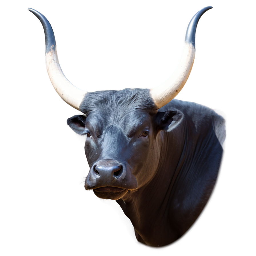 Bull Profile Picture Png Vho55