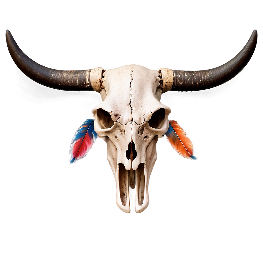 Bull Skull And Feathers Png Rvt