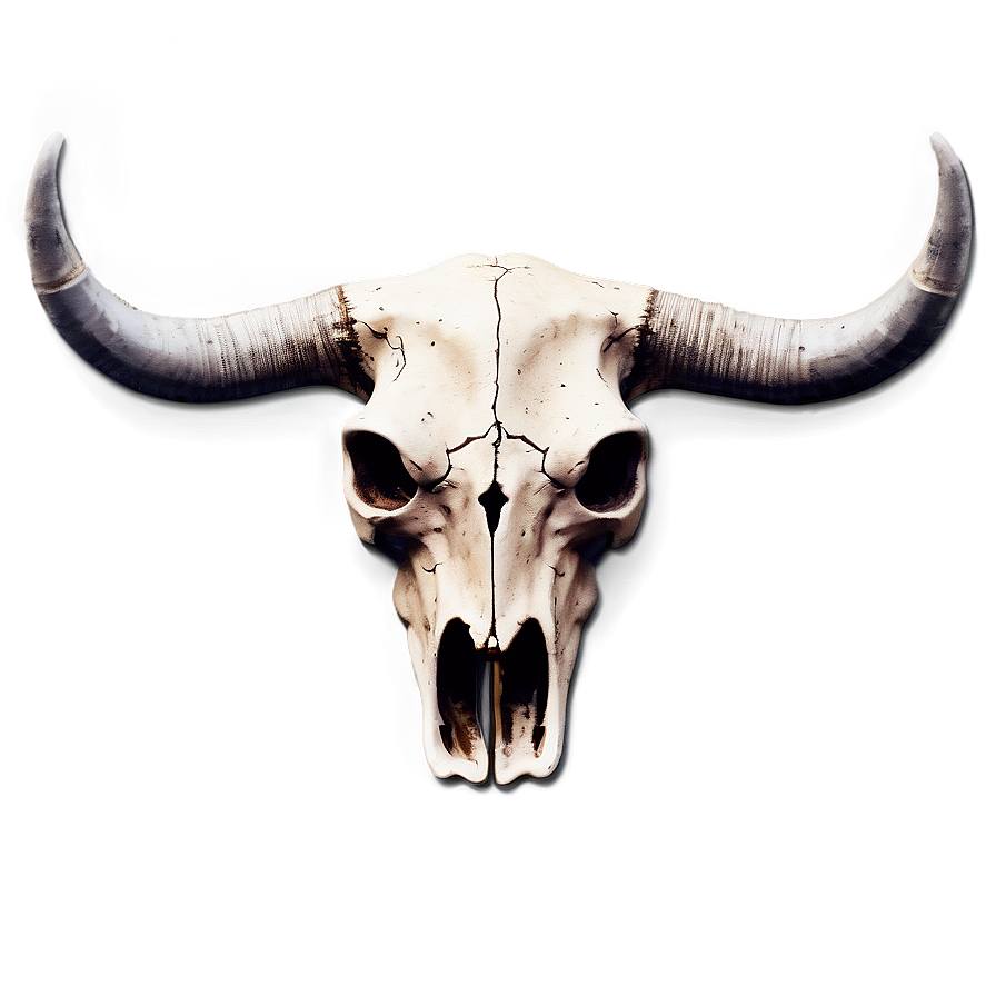 Bull Skull On Vintage Paper Png Ghx