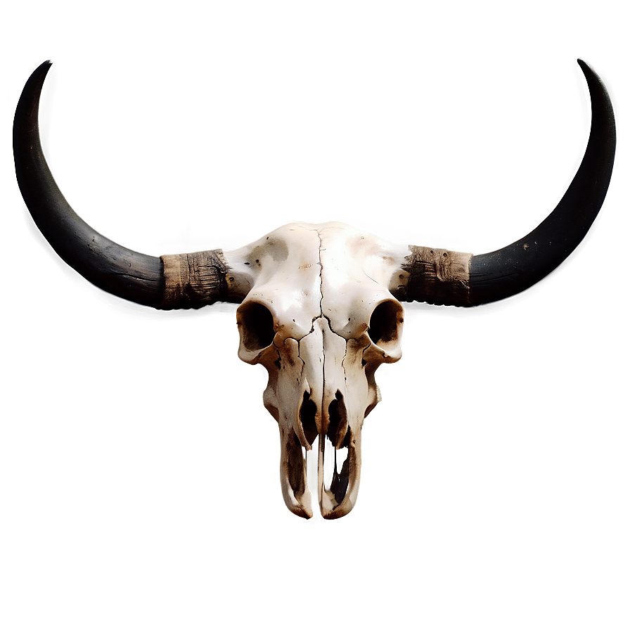 Bull Skull Silhouette Png Luw