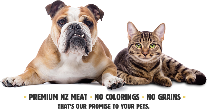 Bulldogand Tabby Cat Premium Pet Food Ad