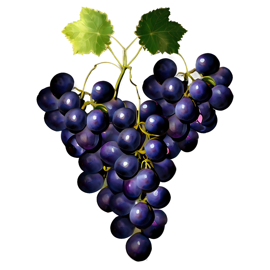 Bunch Of Grapes Png 05212024