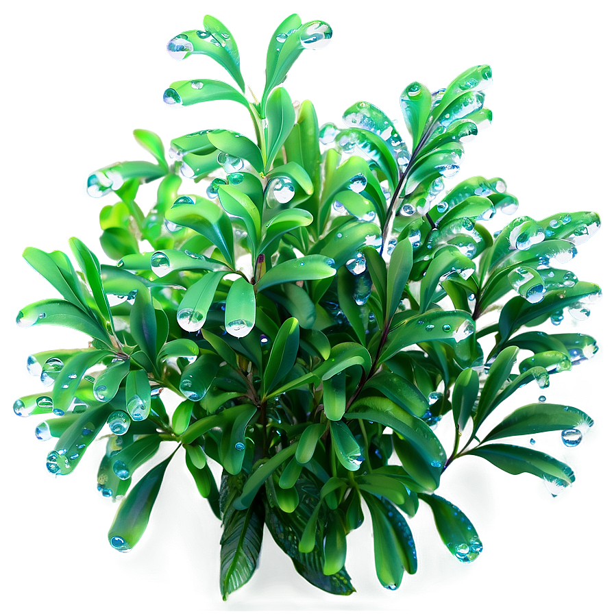 Bush With Dewdrops Png Eio21