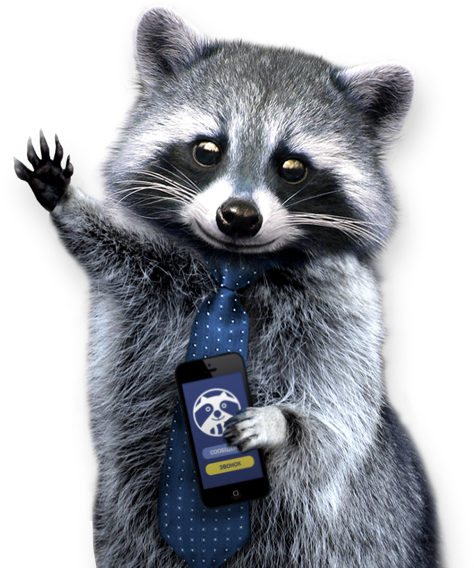 Business Raccoonwith Smartphone