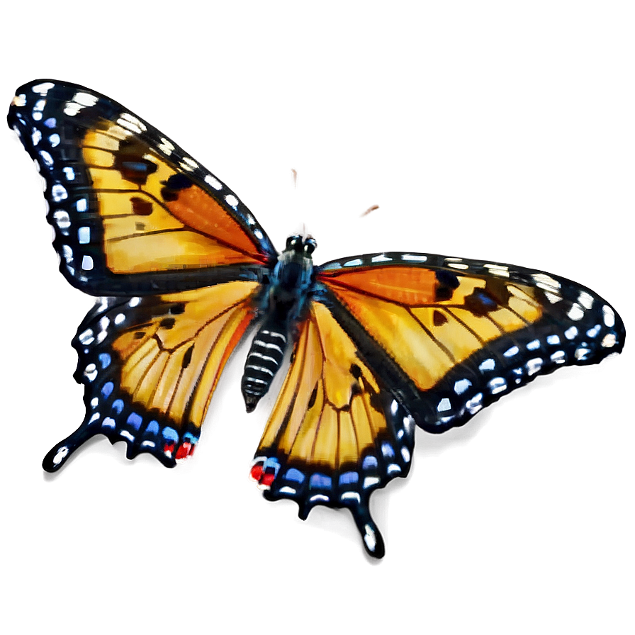 Butterfly In Nature Png 04292024