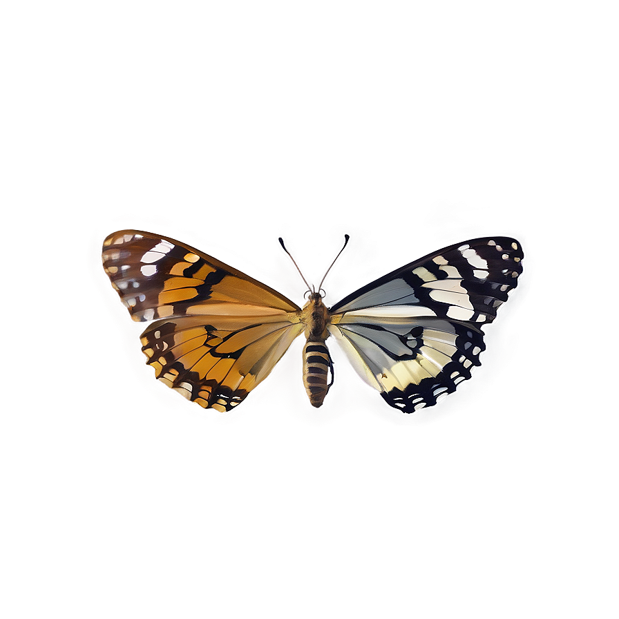 Butterfly In Nature Png Uhe58