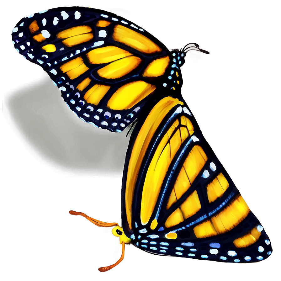 Butterfly Natural Beauty Png 60