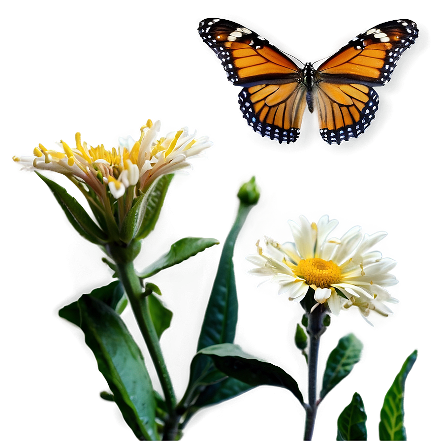 Butterfly On Flower Png 50