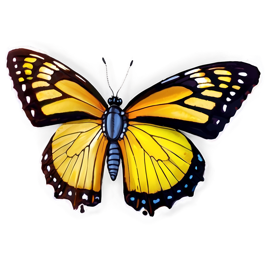 Butterfly On Leaf Png Puf