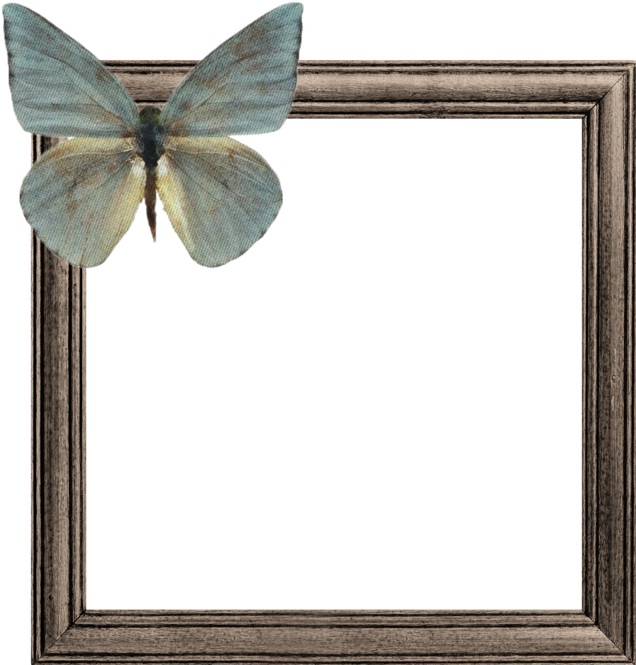 Butterflyon Wooden Frame