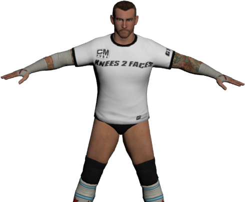 C M Punk Wrestling Pose3 D Model