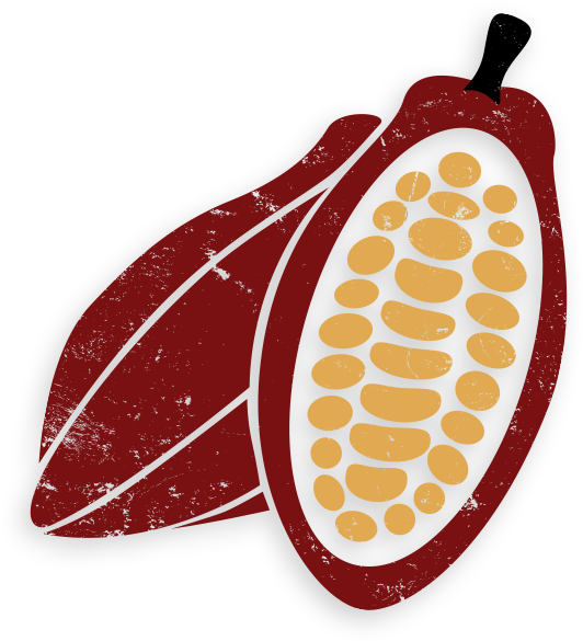 Cacao Pod Illustration