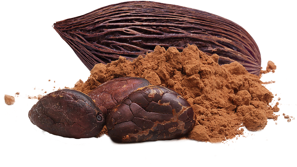 Cacao Podsand Powder