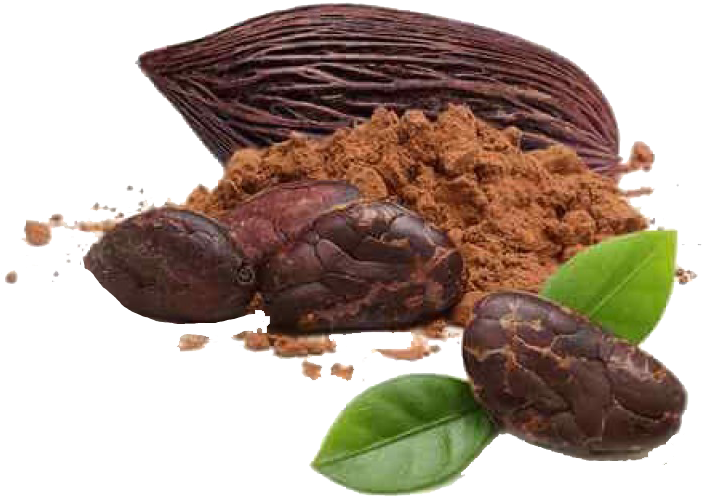 Cacao Podsand Powder