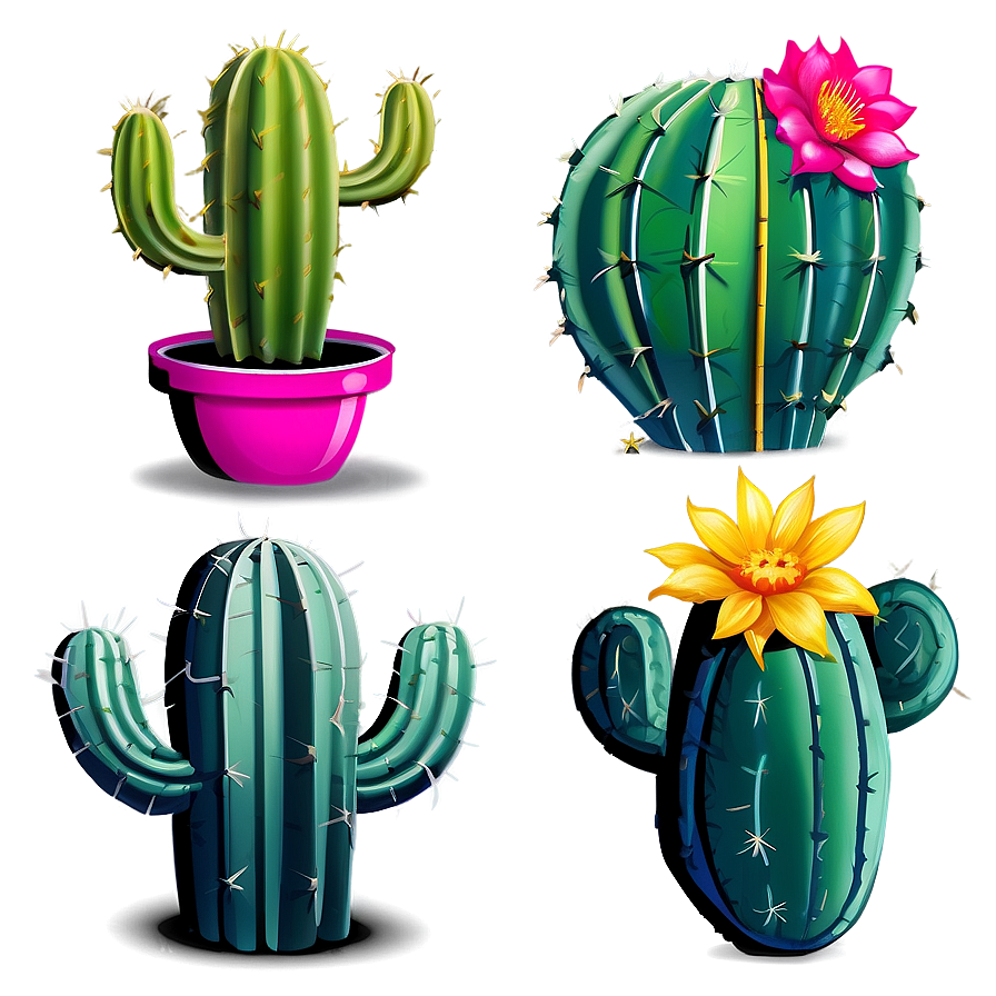 Cacti C