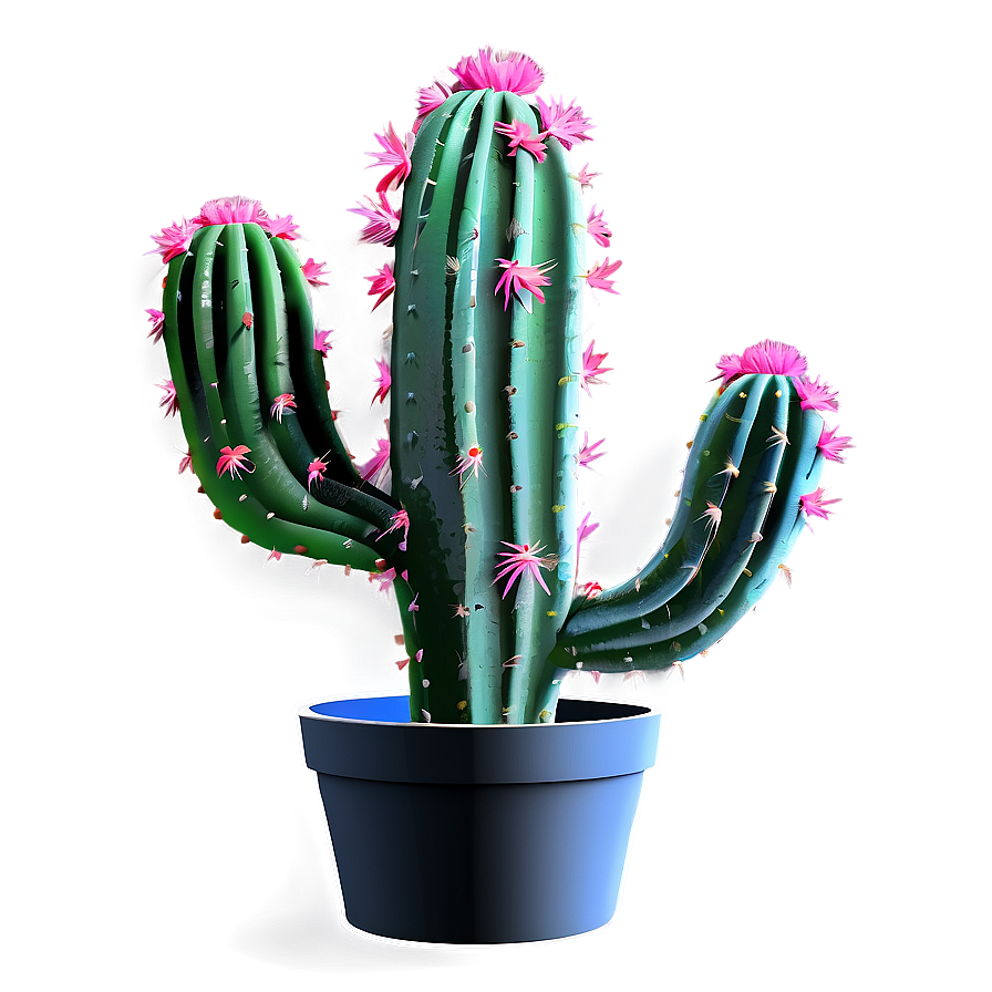Cactus Plant Png Jke22
