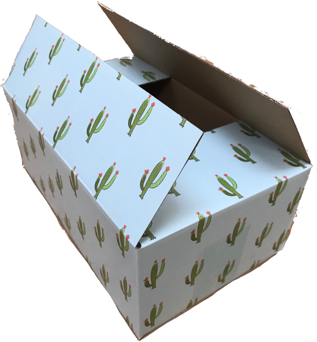 Cactus Print Shipping Box Open