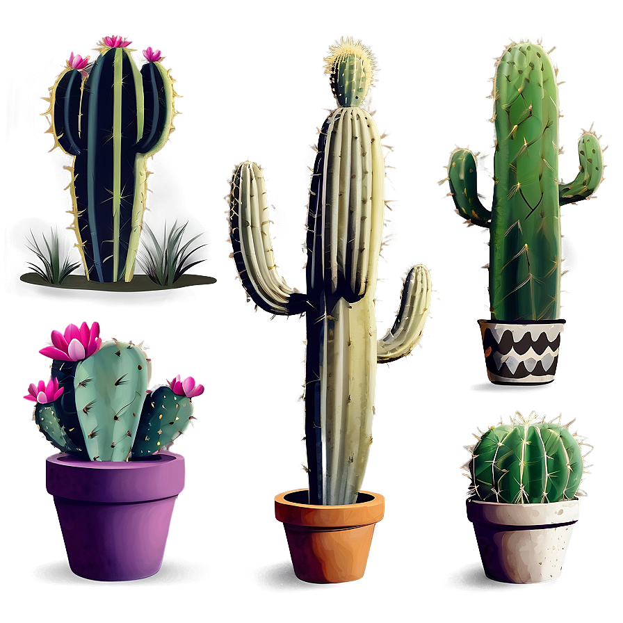 Cactus Silhouette Png Cgf