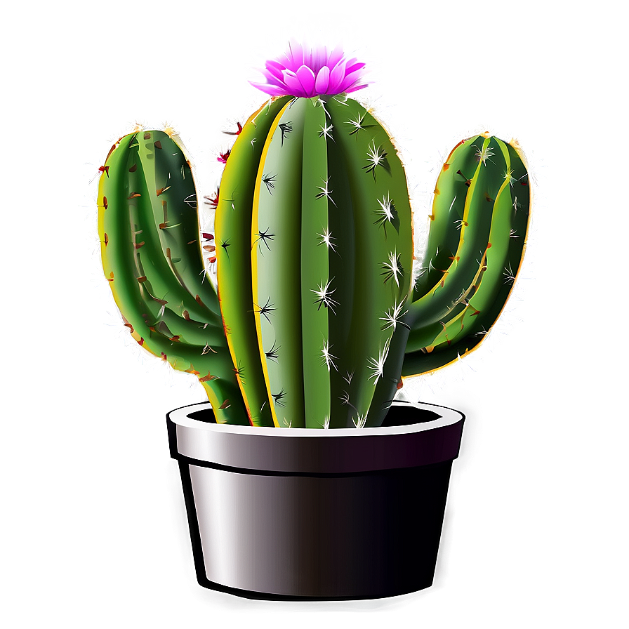 Cactus Vector Png 05032024