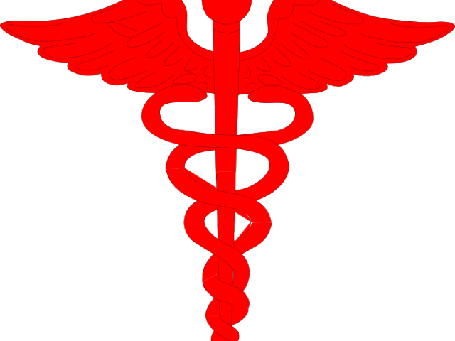 Caduceus Medical Symbol Redand Grey