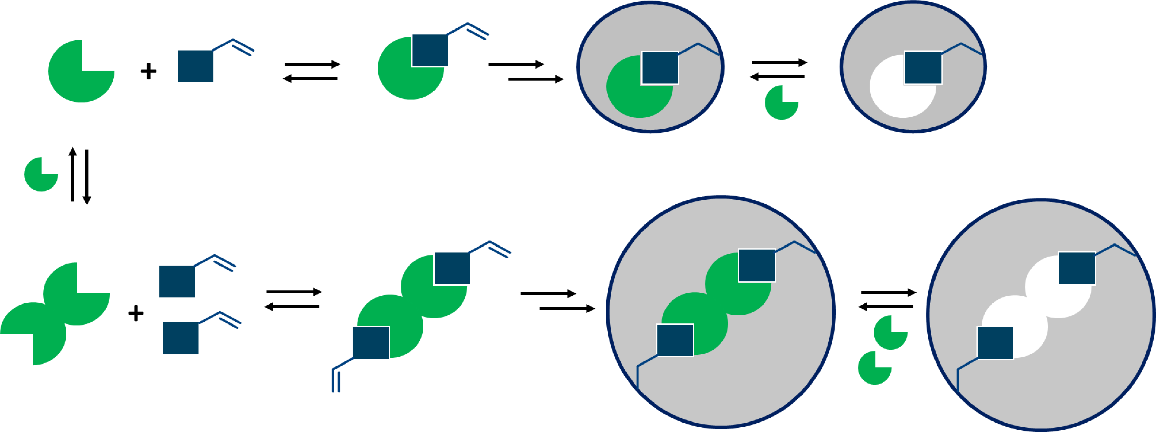 Caffeine Metabolism Process Diagram