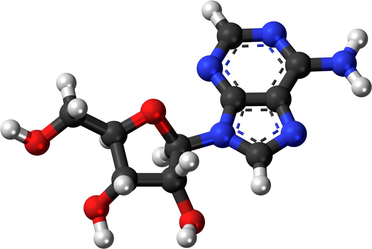 Caffeine Molecule Structure