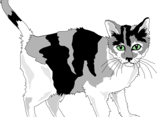 Calico Cat Illustration