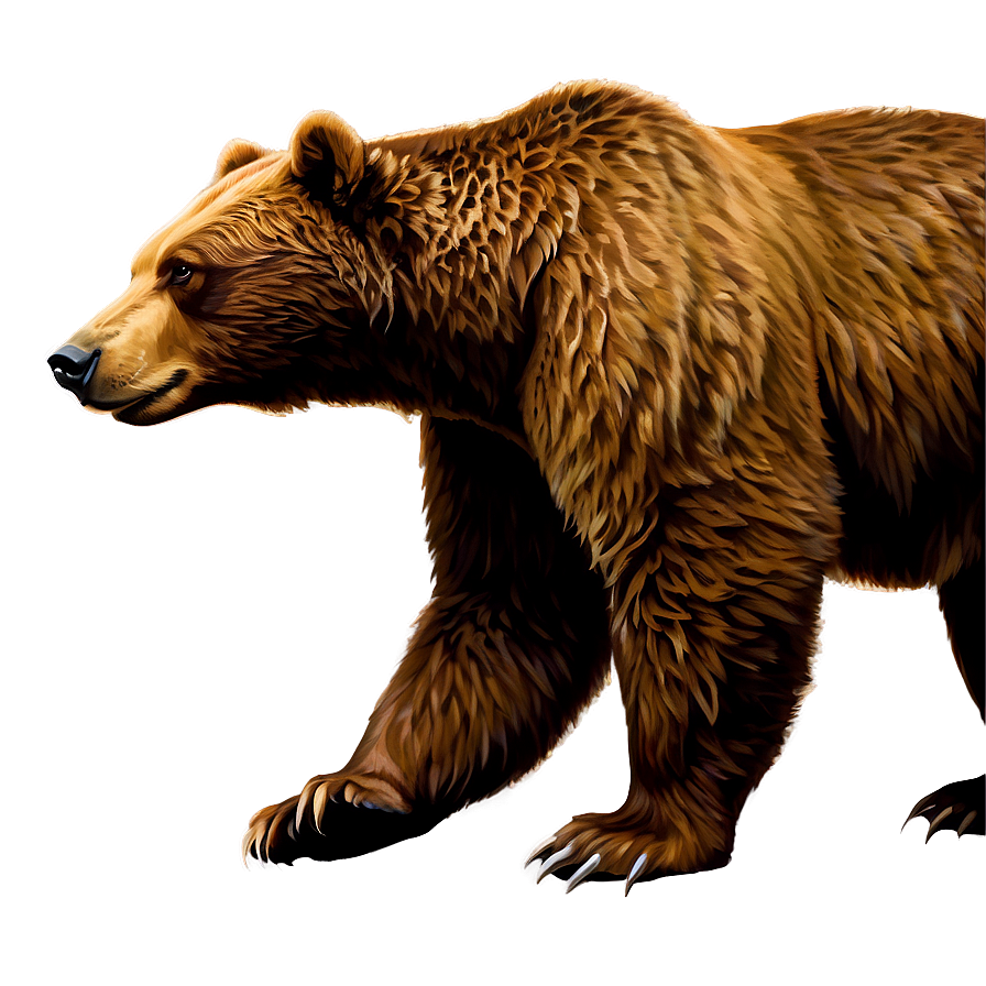 California Bear Illustration Png 88