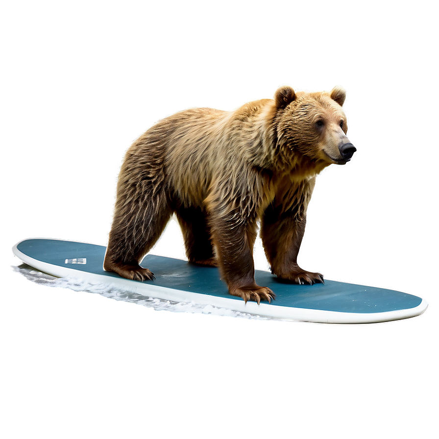 California Surfing Bear Png Xrj62