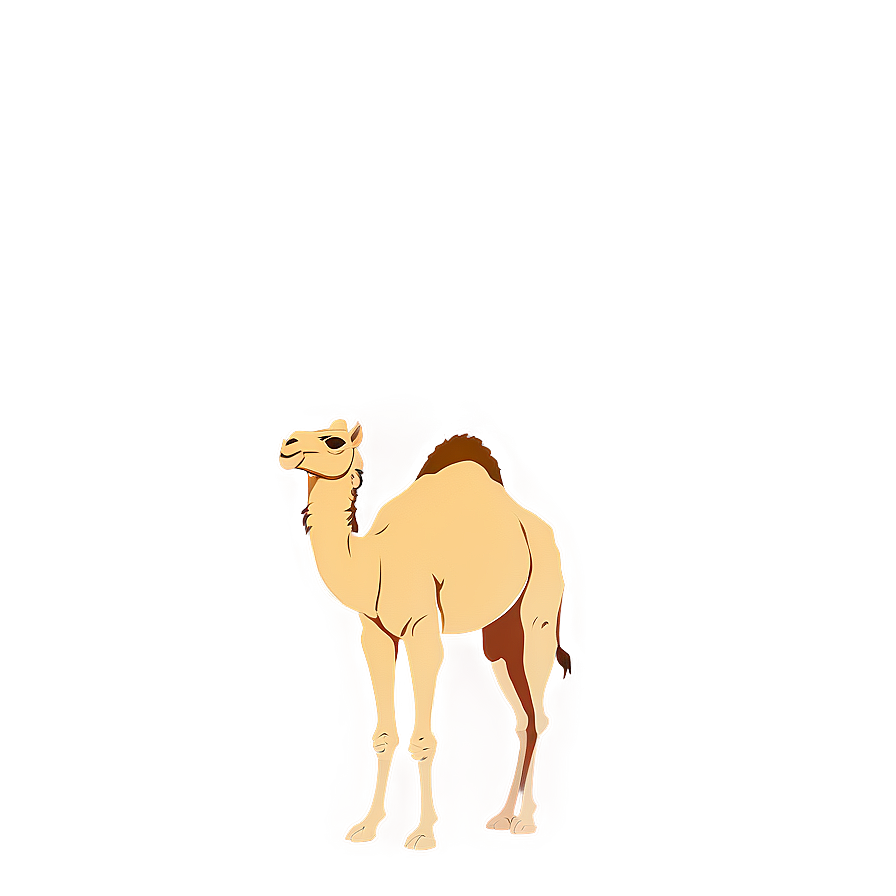 Camel With Sunset Background Png Fnm20