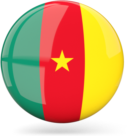 Cameroon Flag Beach Ball