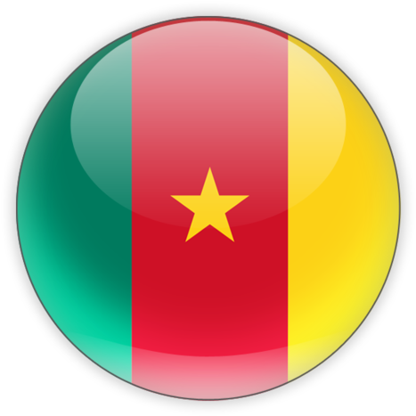 Cameroon Flag Button