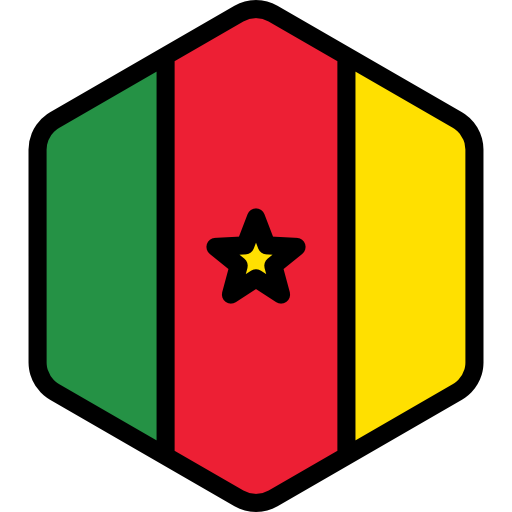 Cameroon Flag Shield Graphic