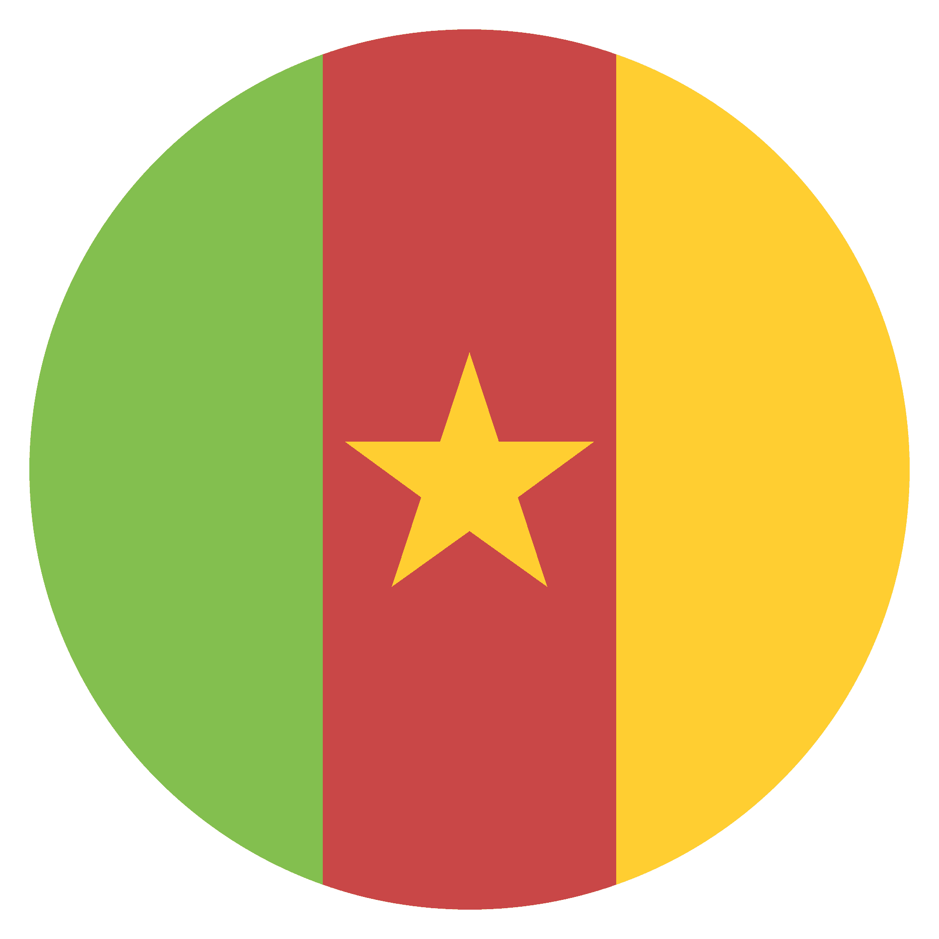 Cameroon National Flag