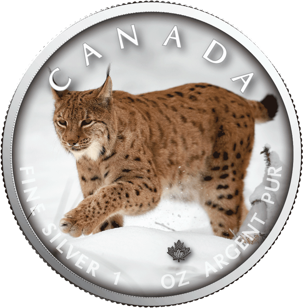 Canadian Lynx Silver Coin