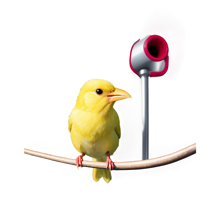 Canary Bird Singing Png Xbx