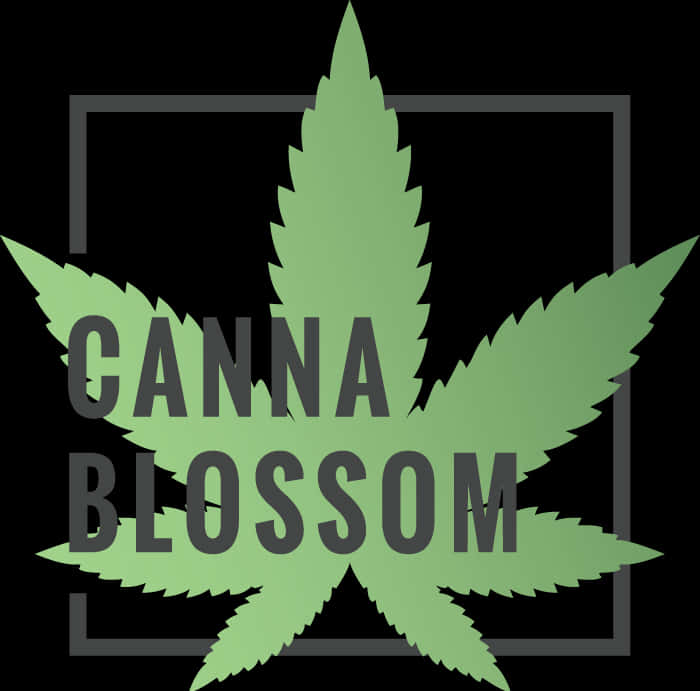 Canna Blossom_ Weed Leaf_ Graphic