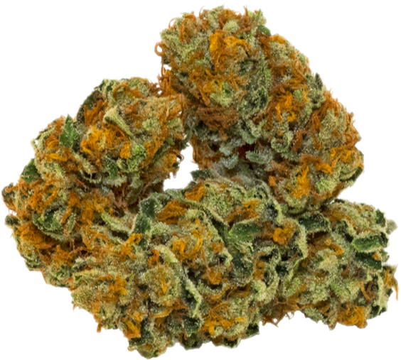 Cannabis Buds Closeup.png
