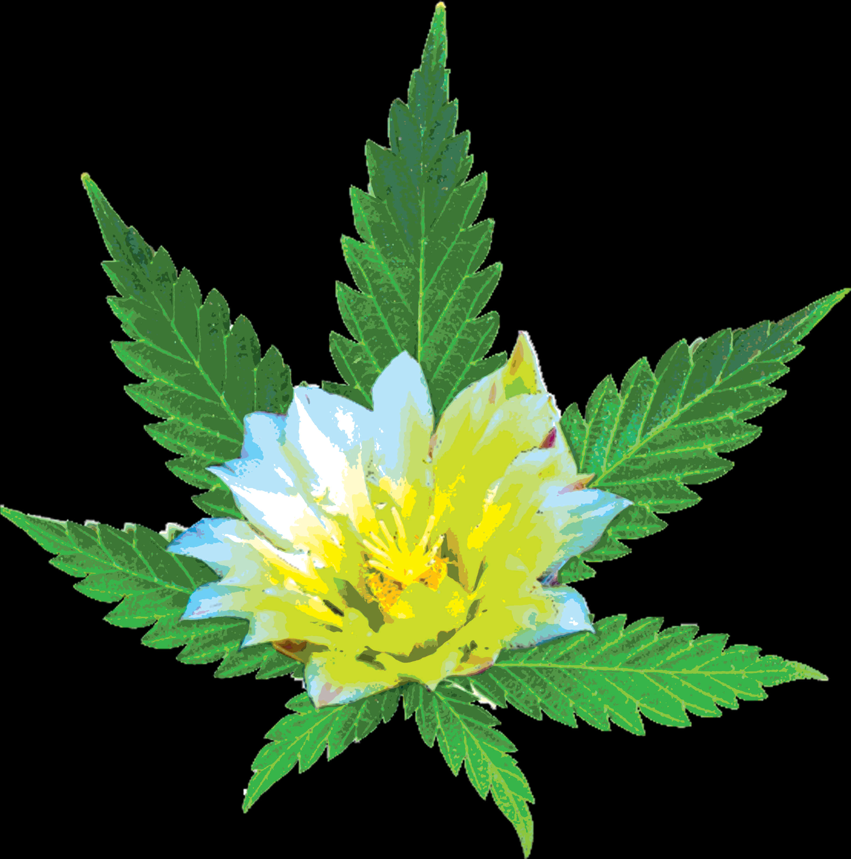 Cannabis Flower Hybrid Artwork