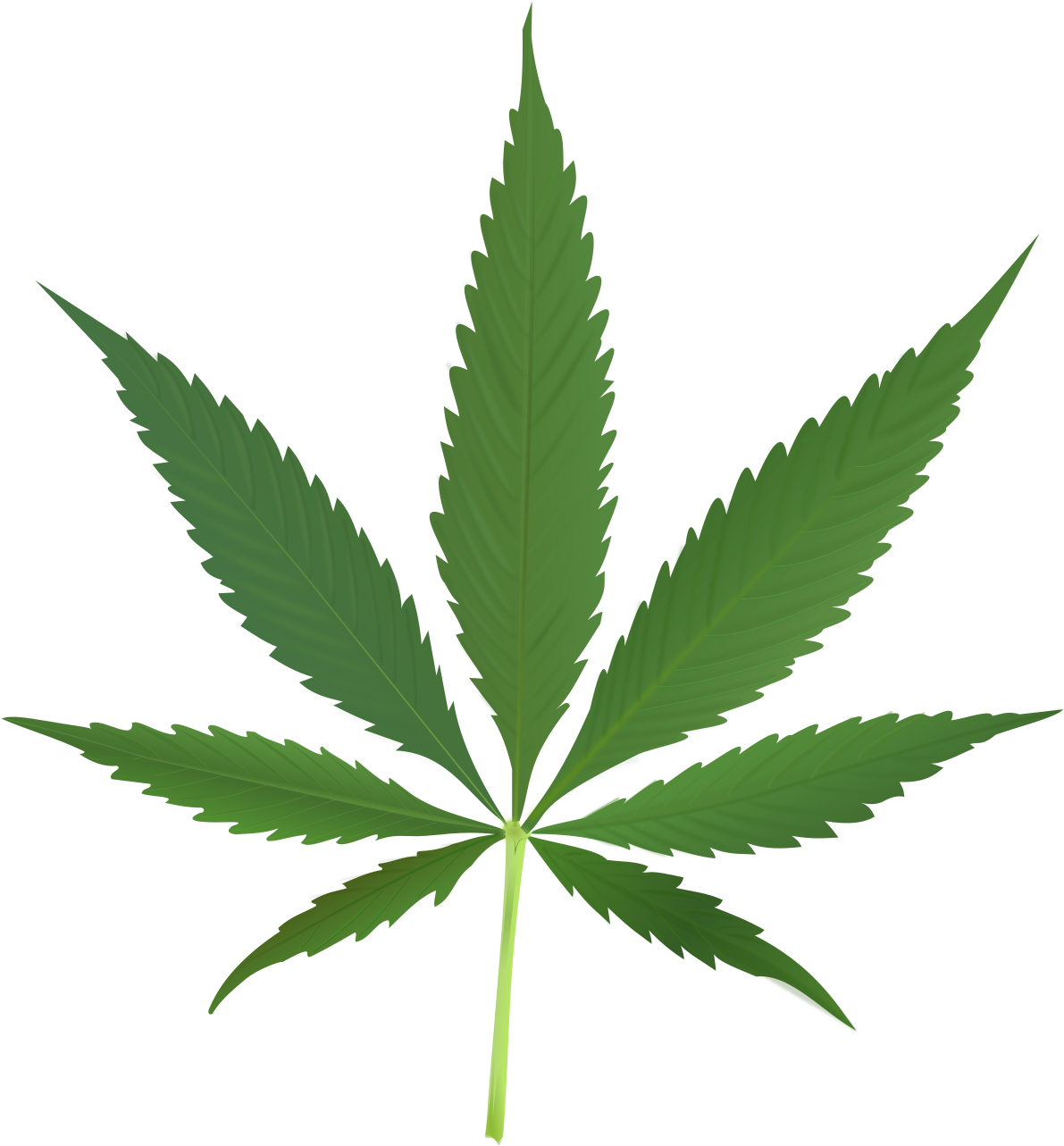 Cannabis Leaf Graphic