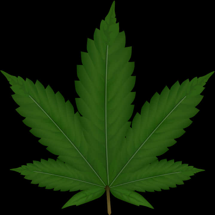 Cannabis Leaf Graphic