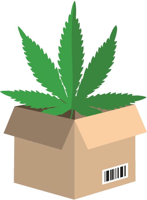 Cannabis Leaf In Cardboard Box