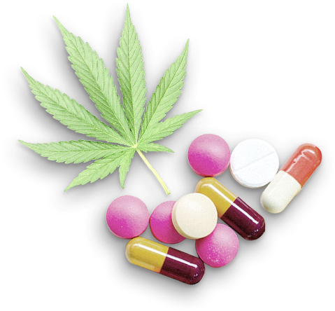 Cannabis Leafand Variety Pills Graphic