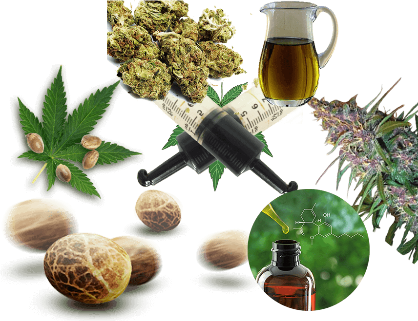 Cannabis Products Collage