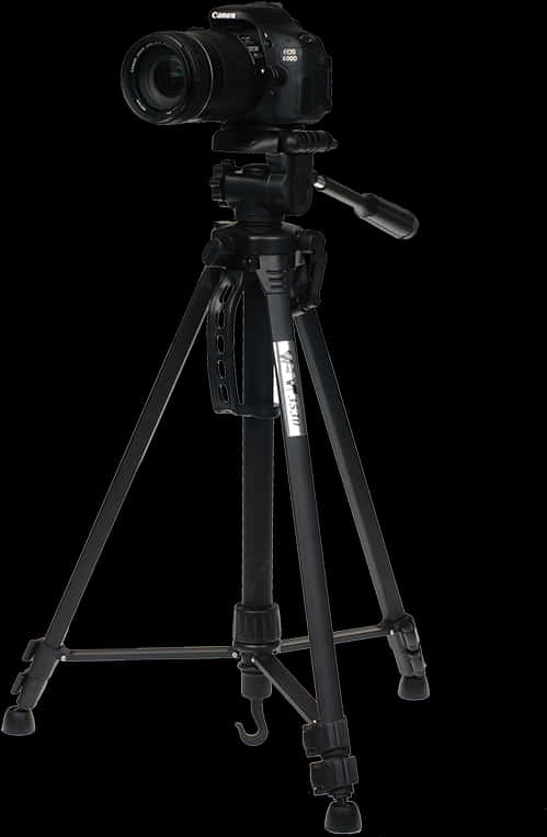 Canon D S L Ron Tripod