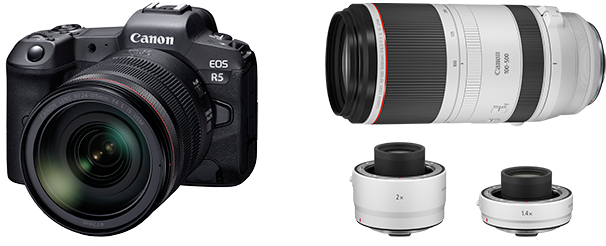 Canon E O S R5and Lens Accessories