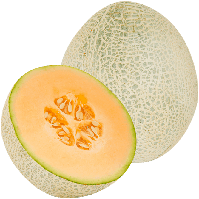 Cantaloupe Sliceand Whole